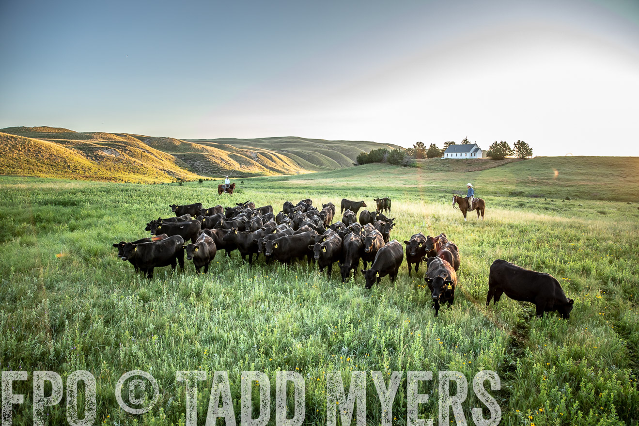 PP_TuckerRanch_NE_July2019-40754