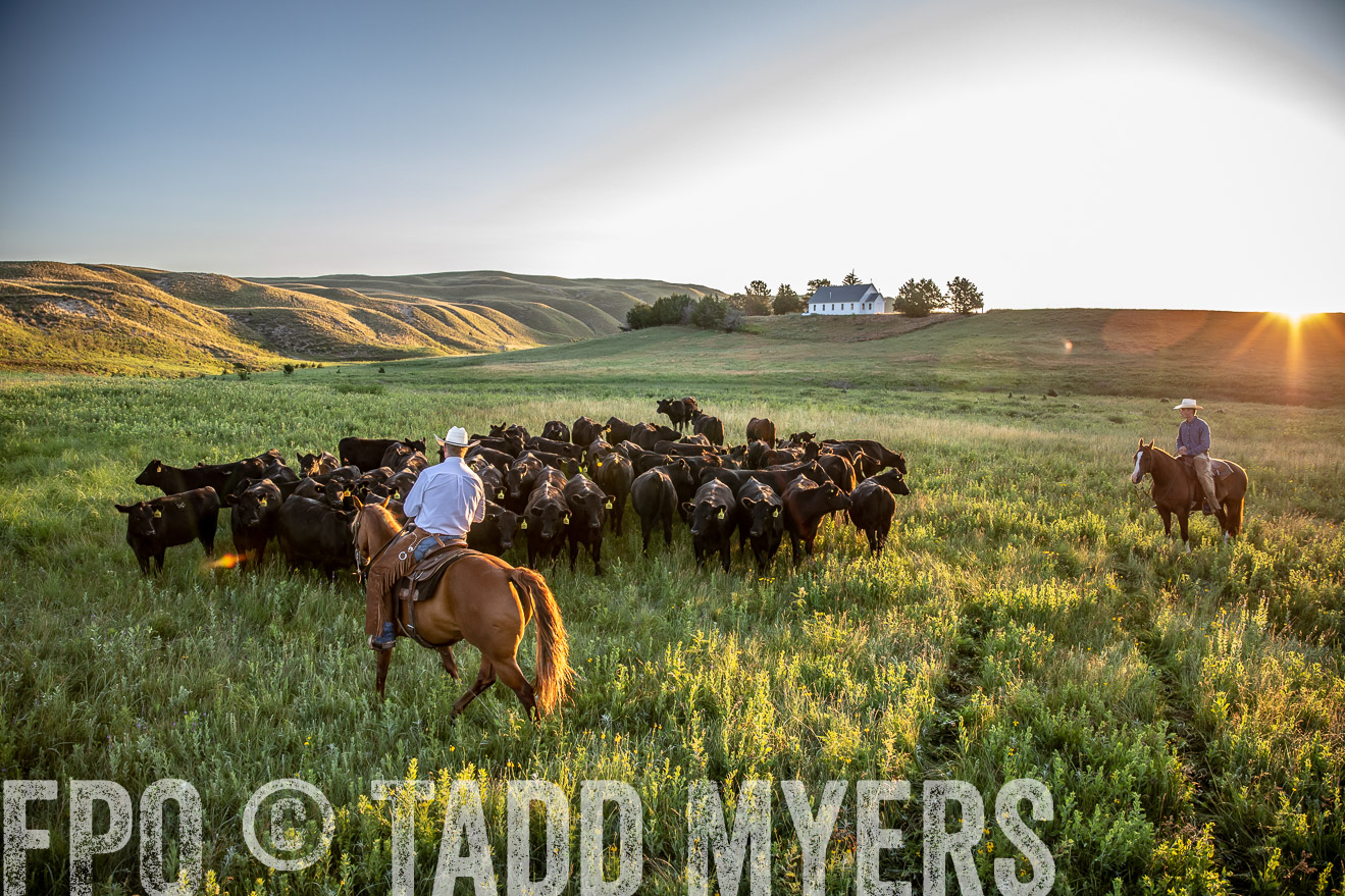 PP_TuckerRanch_NE_July2019-40803