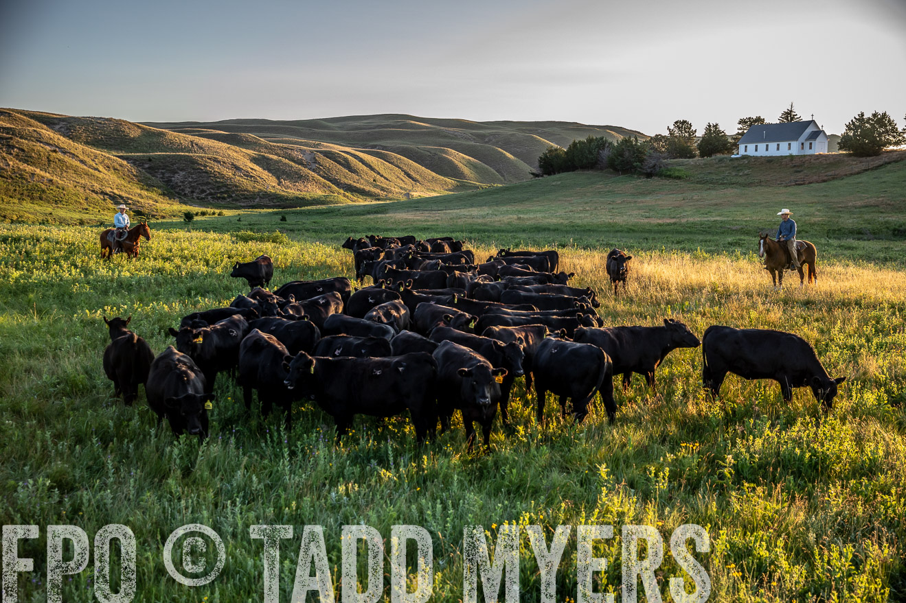 PP_TuckerRanch_NE_July2019-40890