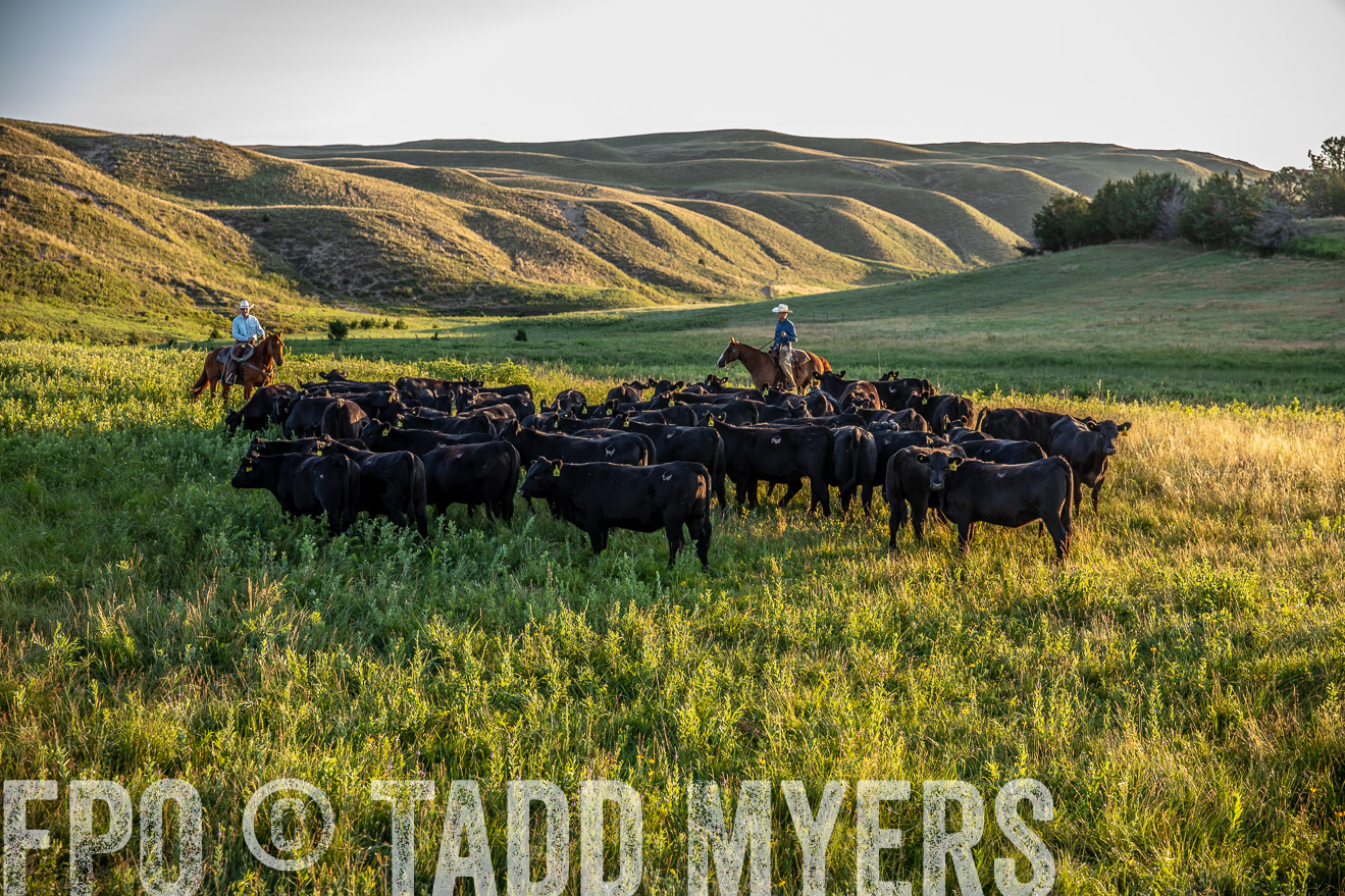 PP_TuckerRanch_NE_July2019-41018