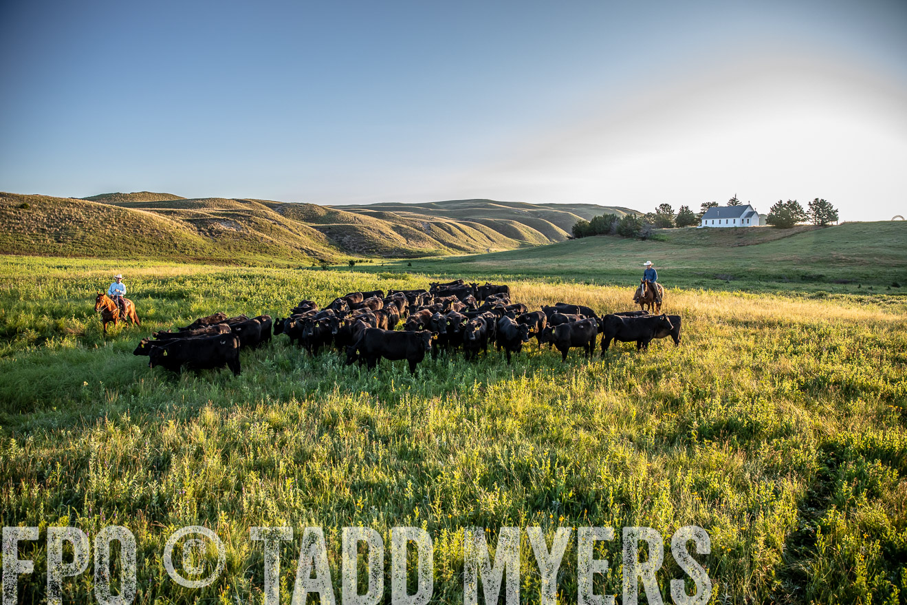 PP_TuckerRanch_NE_July2019-41076