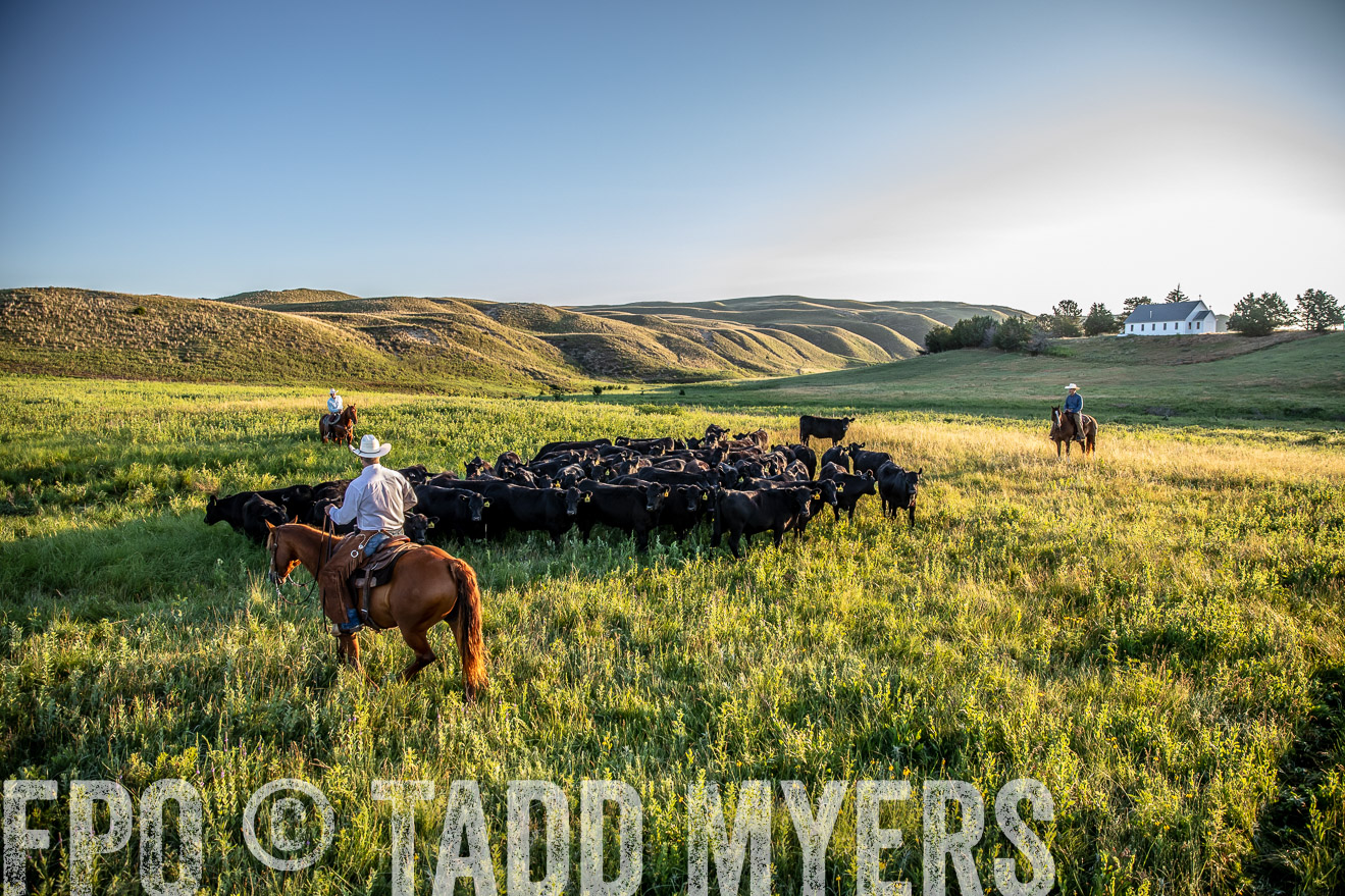 PP_TuckerRanch_NE_July2019-41112