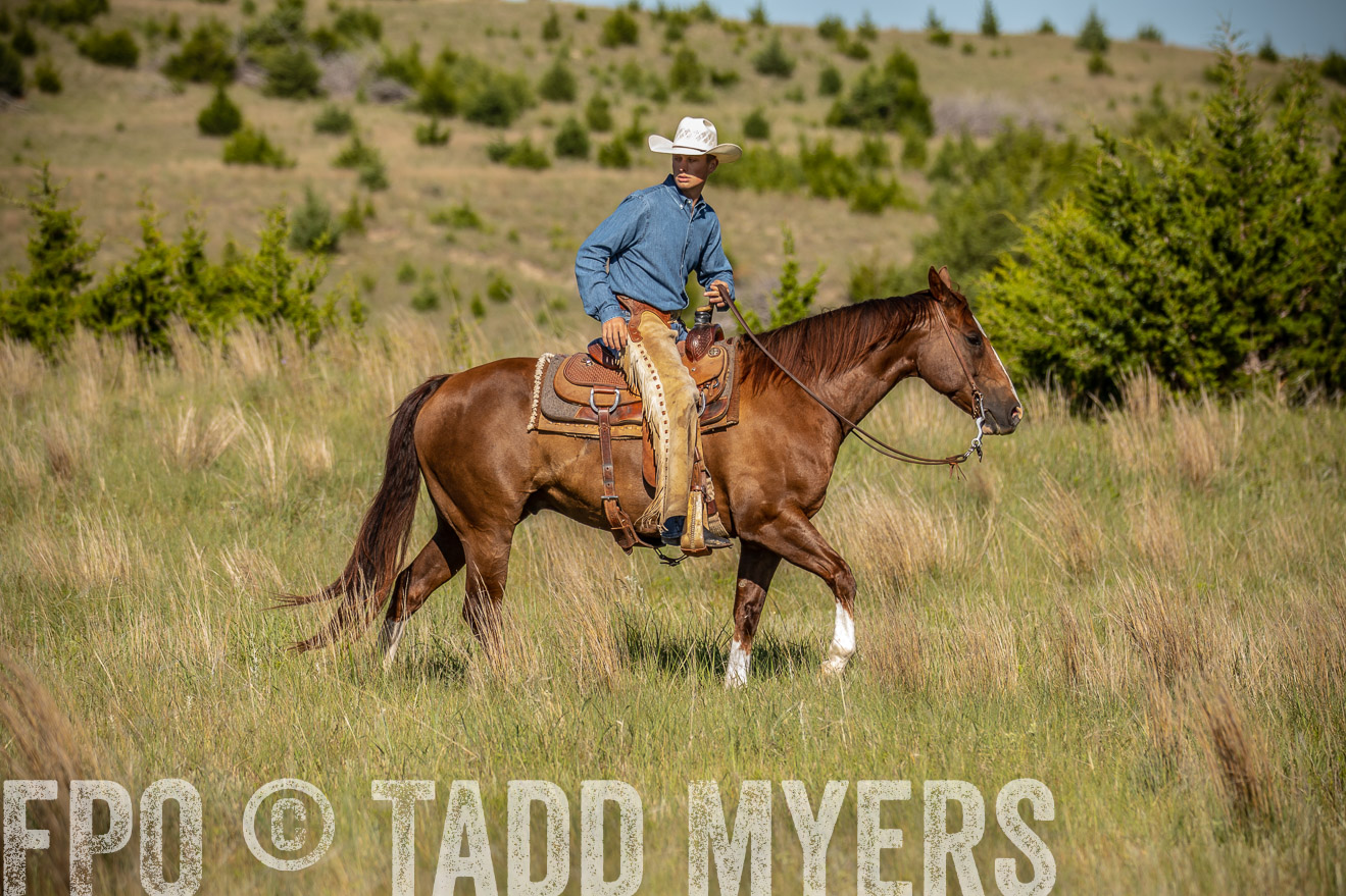 PP_TuckerRanch_NE_July2019-41839