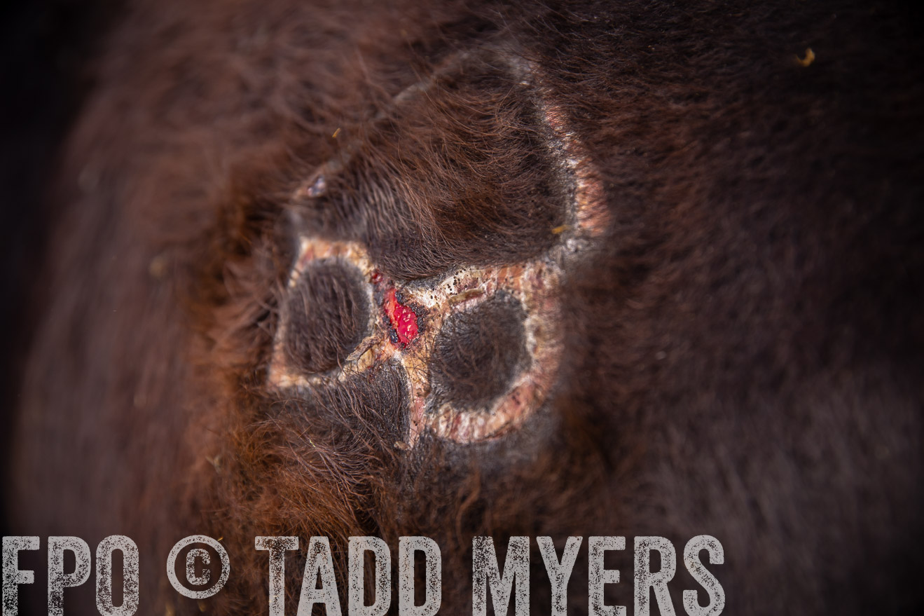 PP_TuckerRanch_NE_July2019-41894