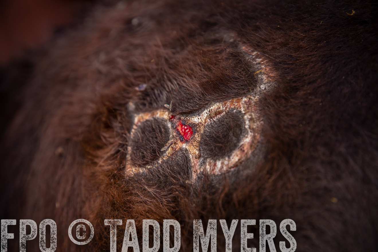 PP_TuckerRanch_NE_July2019-41925