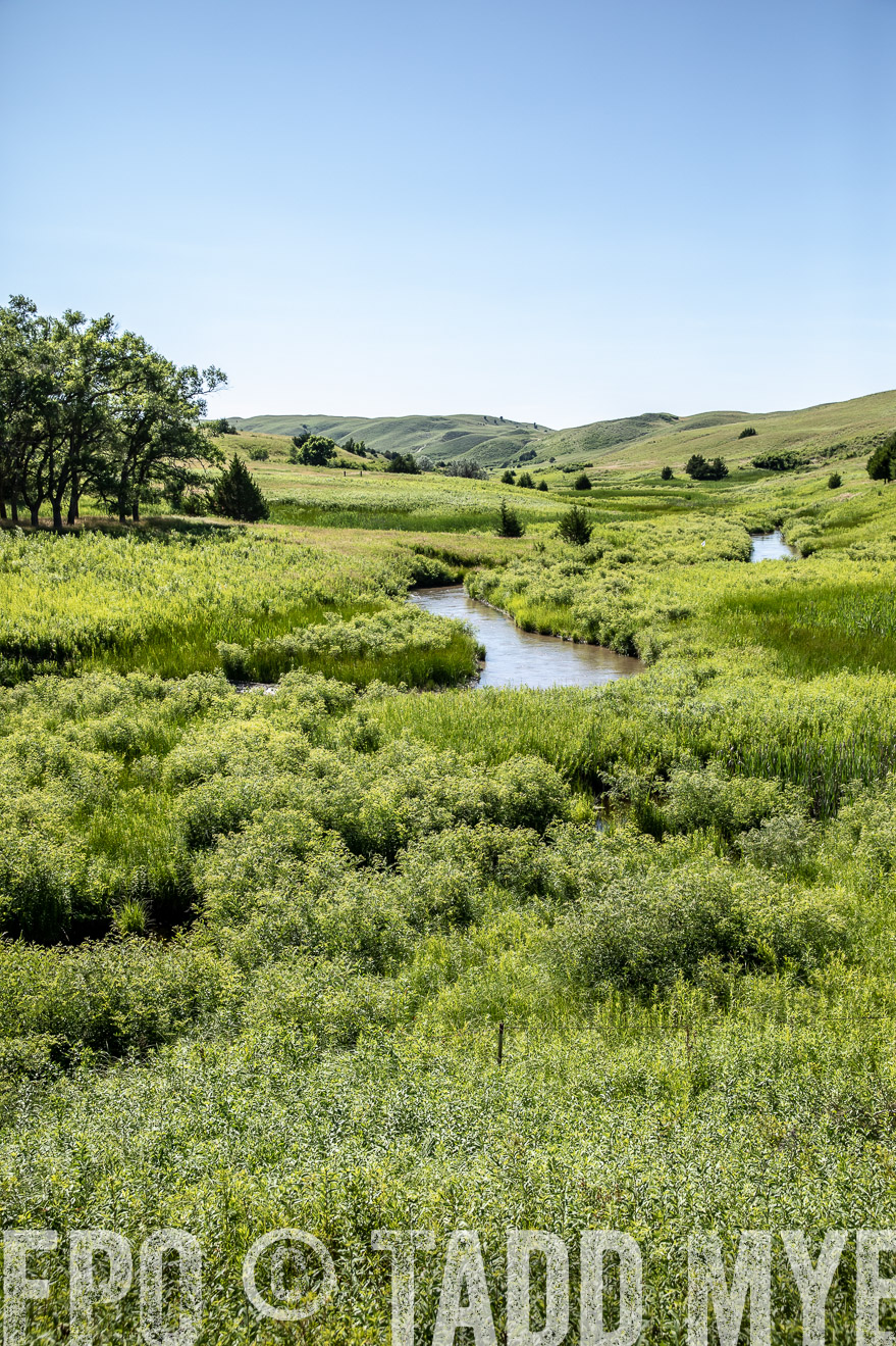 PP_TuckerRanch_NE_July2019-41950