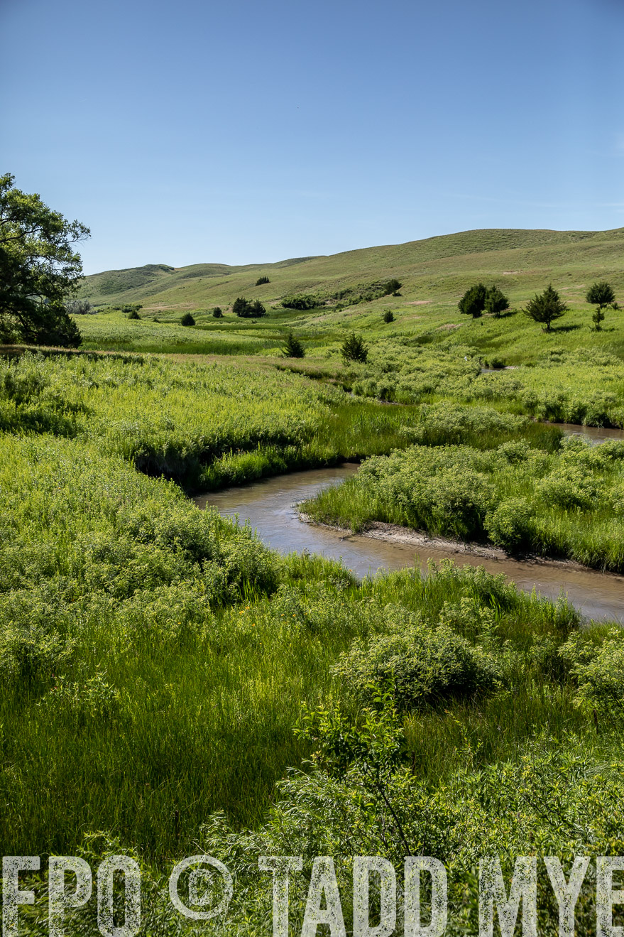 PP_TuckerRanch_NE_July2019-41958