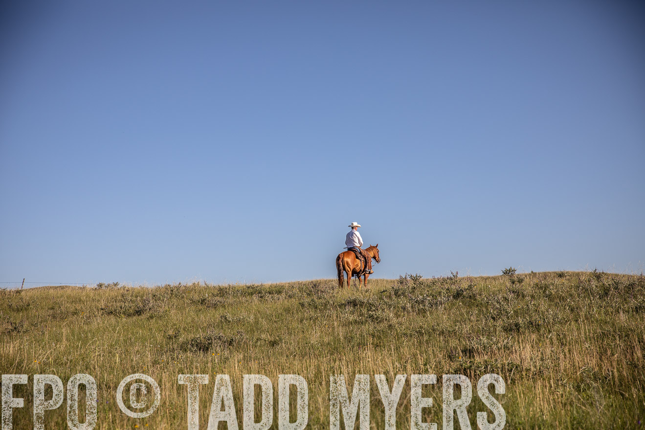 PP_TuckerRanch_NE_July2019-41968