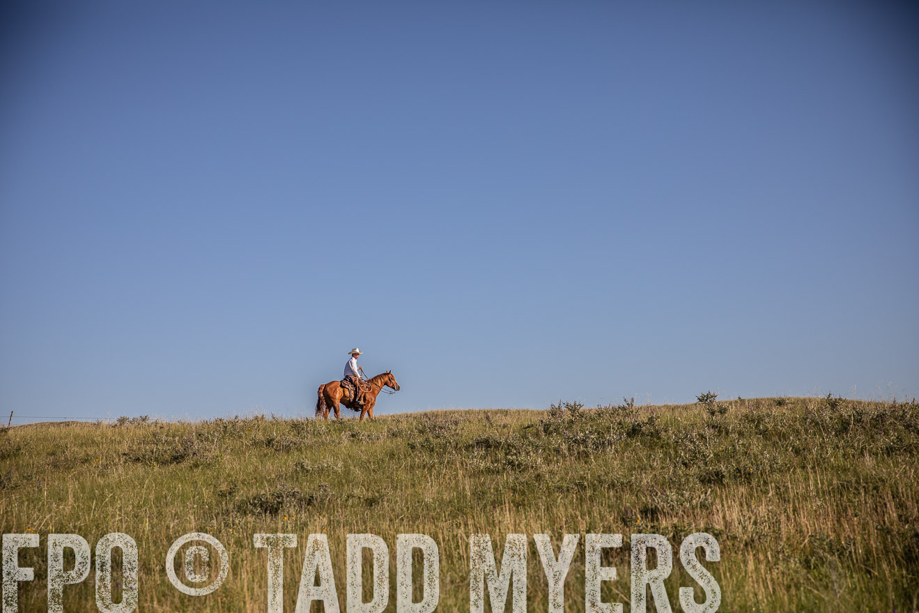 PP_TuckerRanch_NE_July2019-41973