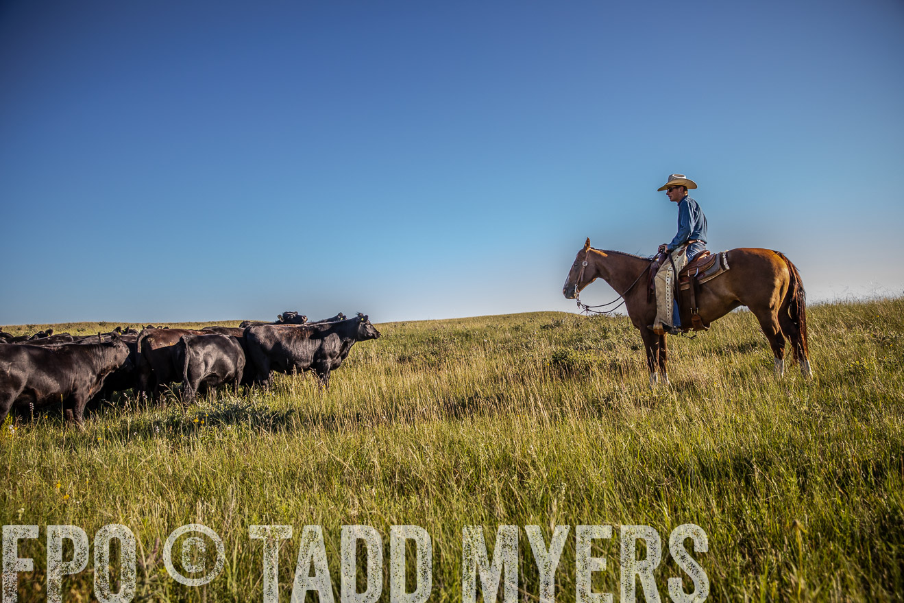 PP_TuckerRanch_NE_July2019-42003
