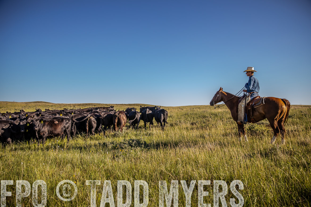 PP_TuckerRanch_NE_July2019-42007