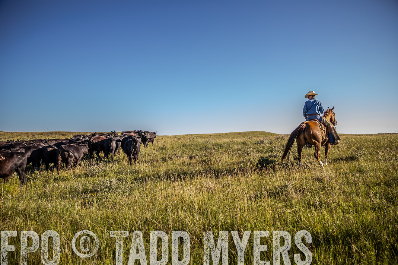 PP_TuckerRanch_NE_July2019-42009