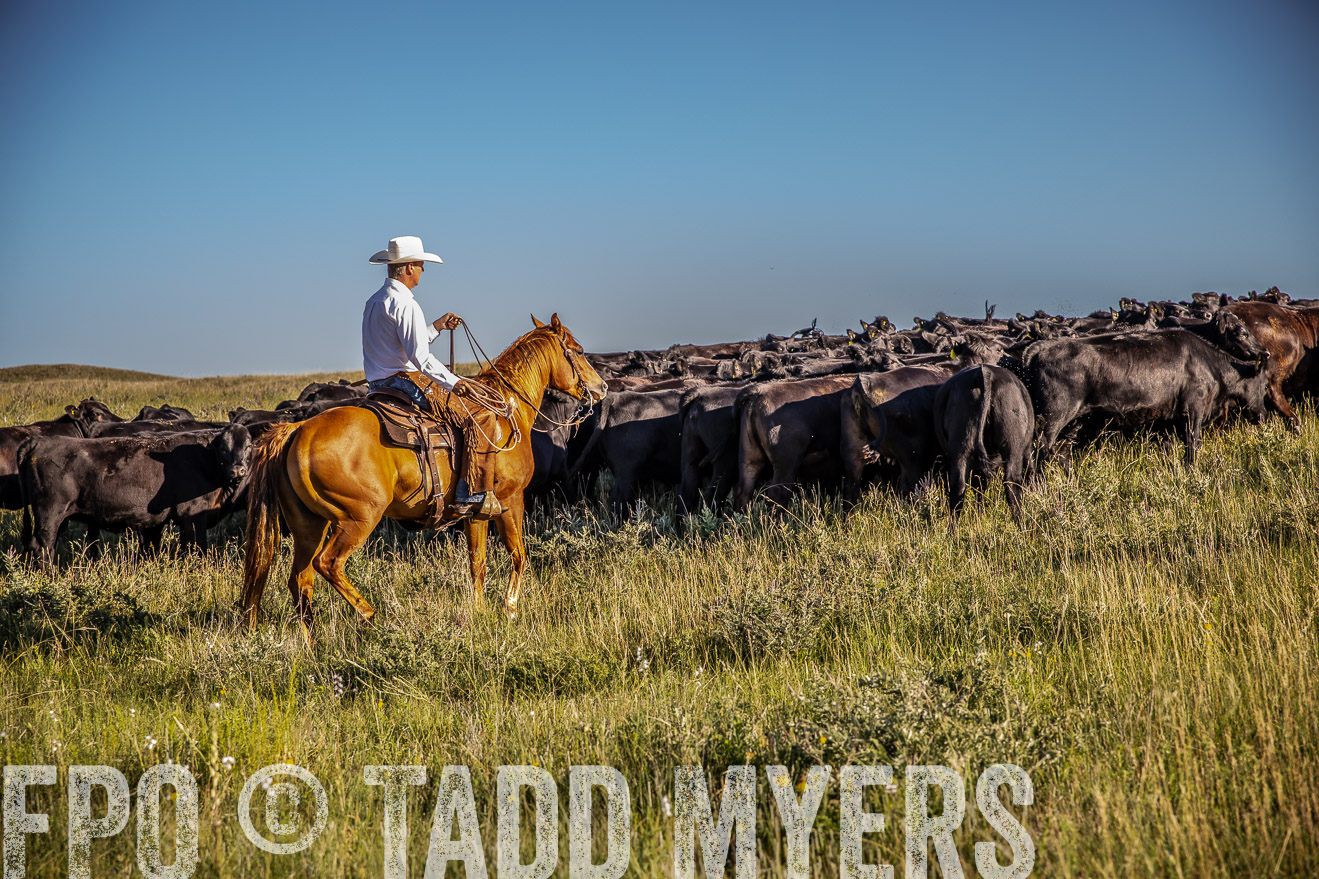 PP_TuckerRanch_NE_July2019-42018