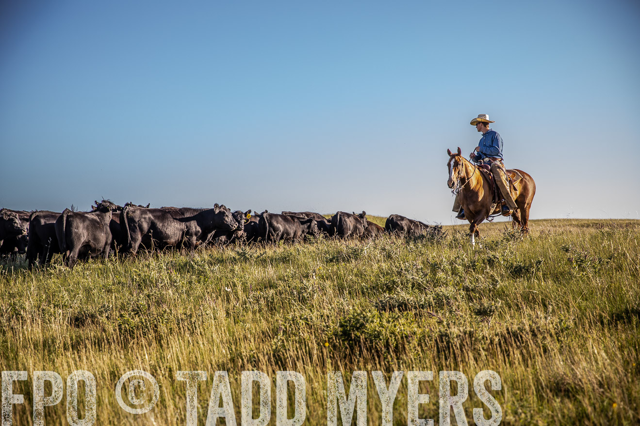 PP_TuckerRanch_NE_July2019-42021