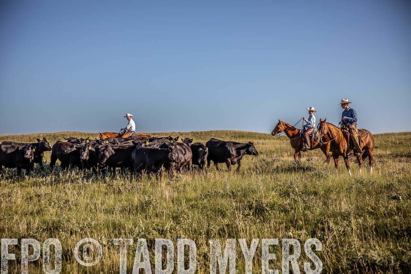 PP_TuckerRanch_NE_July2019-42032