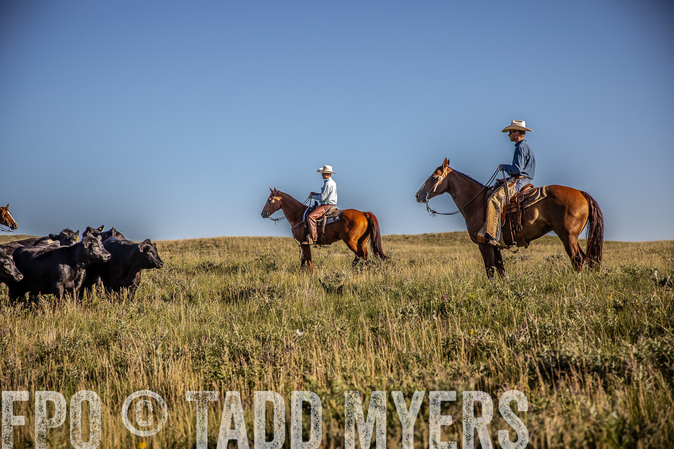PP_TuckerRanch_NE_July2019-42043