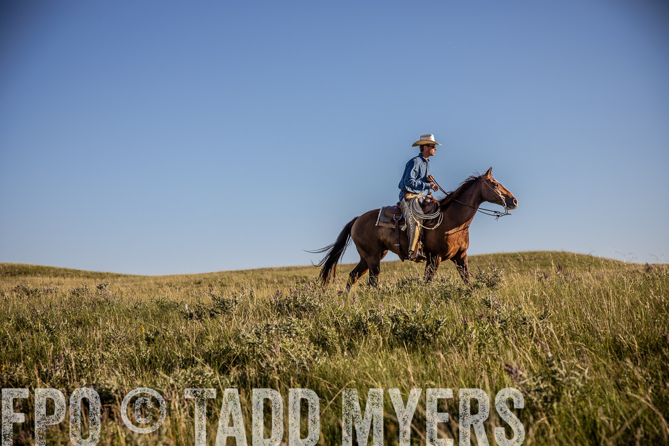 PP_TuckerRanch_NE_July2019-42046