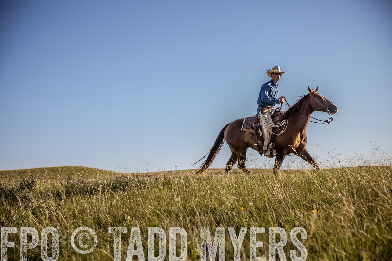 PP_TuckerRanch_NE_July2019-42050