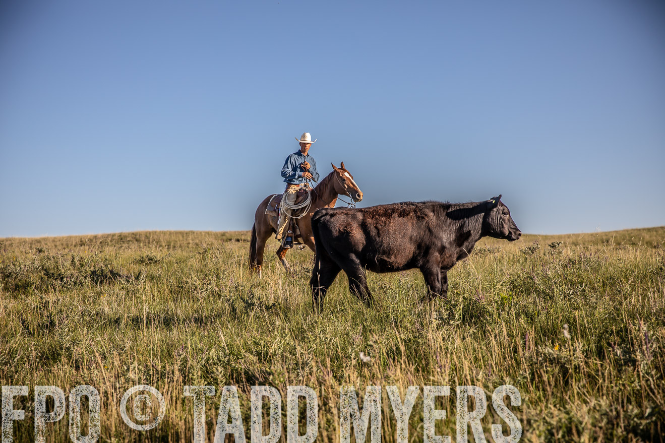 PP_TuckerRanch_NE_July2019-42098
