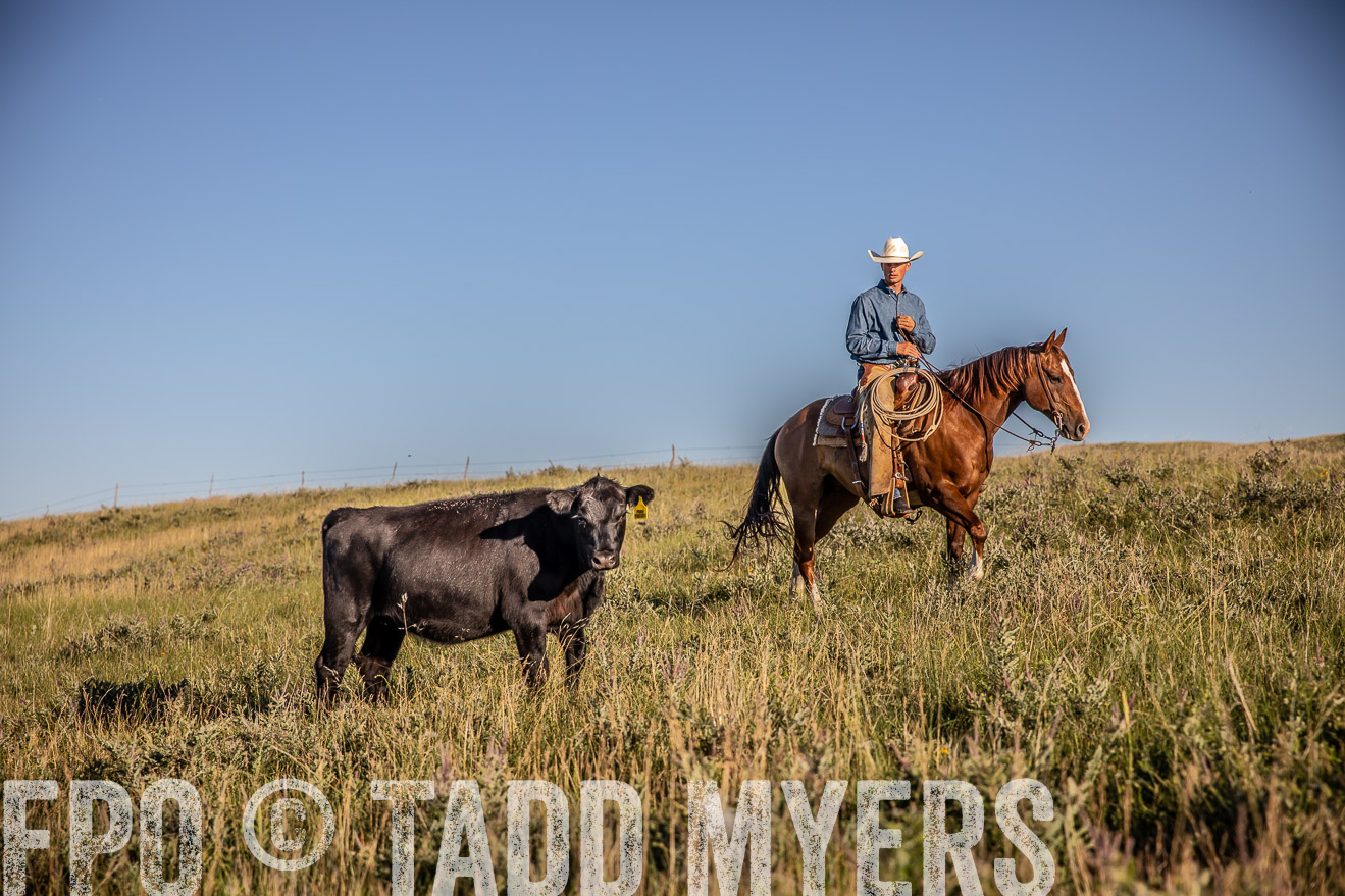 PP_TuckerRanch_NE_July2019-42131