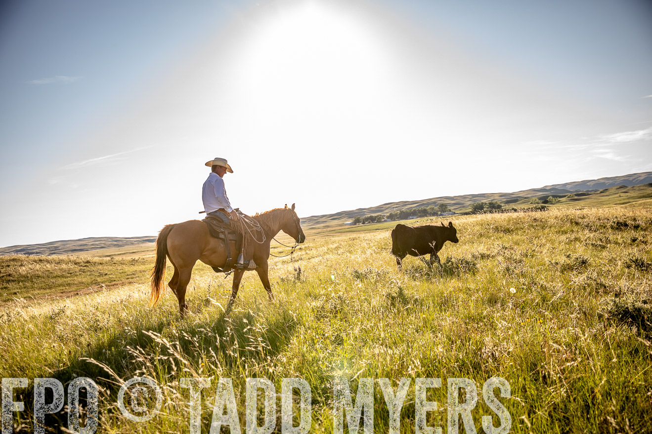 PP_TuckerRanch_NE_July2019-42234