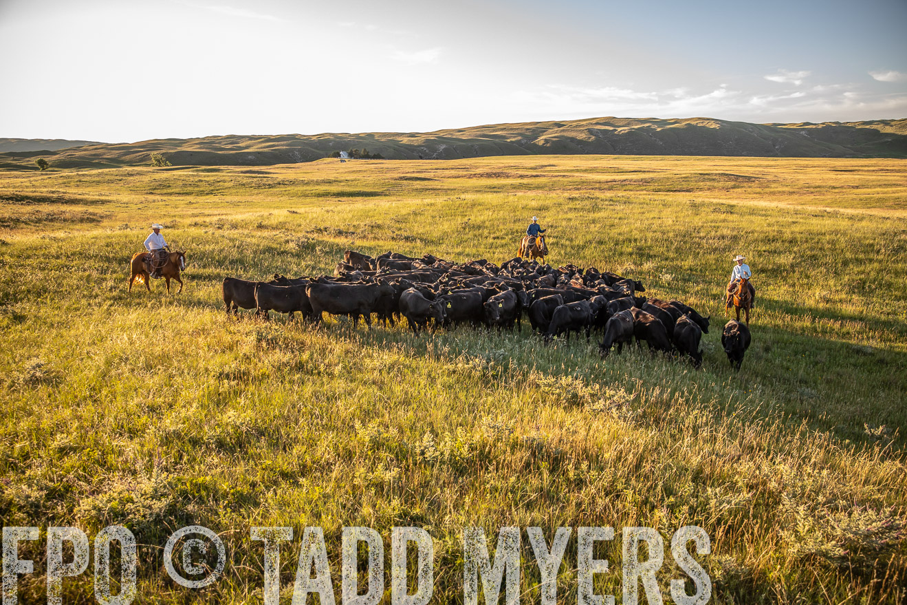 PP_TuckerRanch_NE_July2019-42327