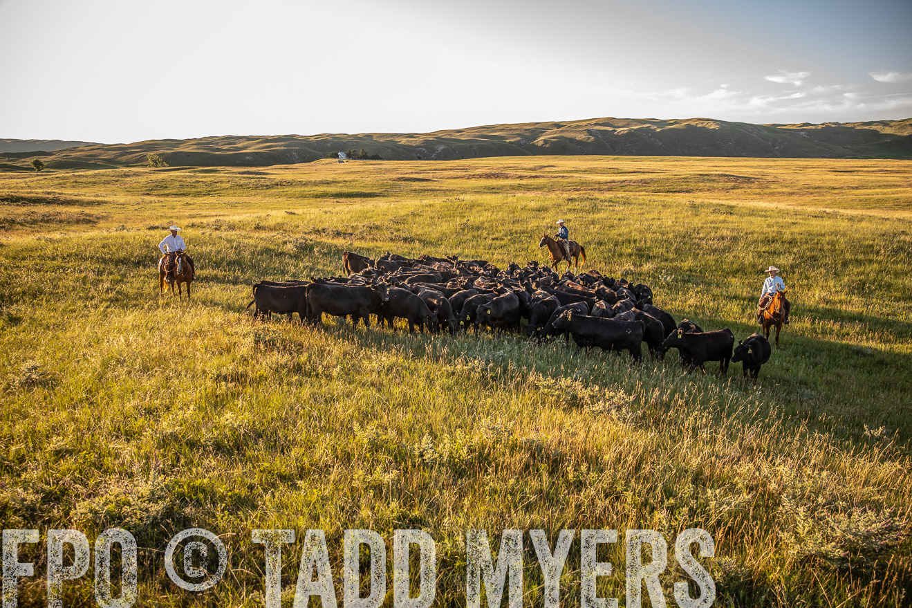 PP_TuckerRanch_NE_July2019-42330