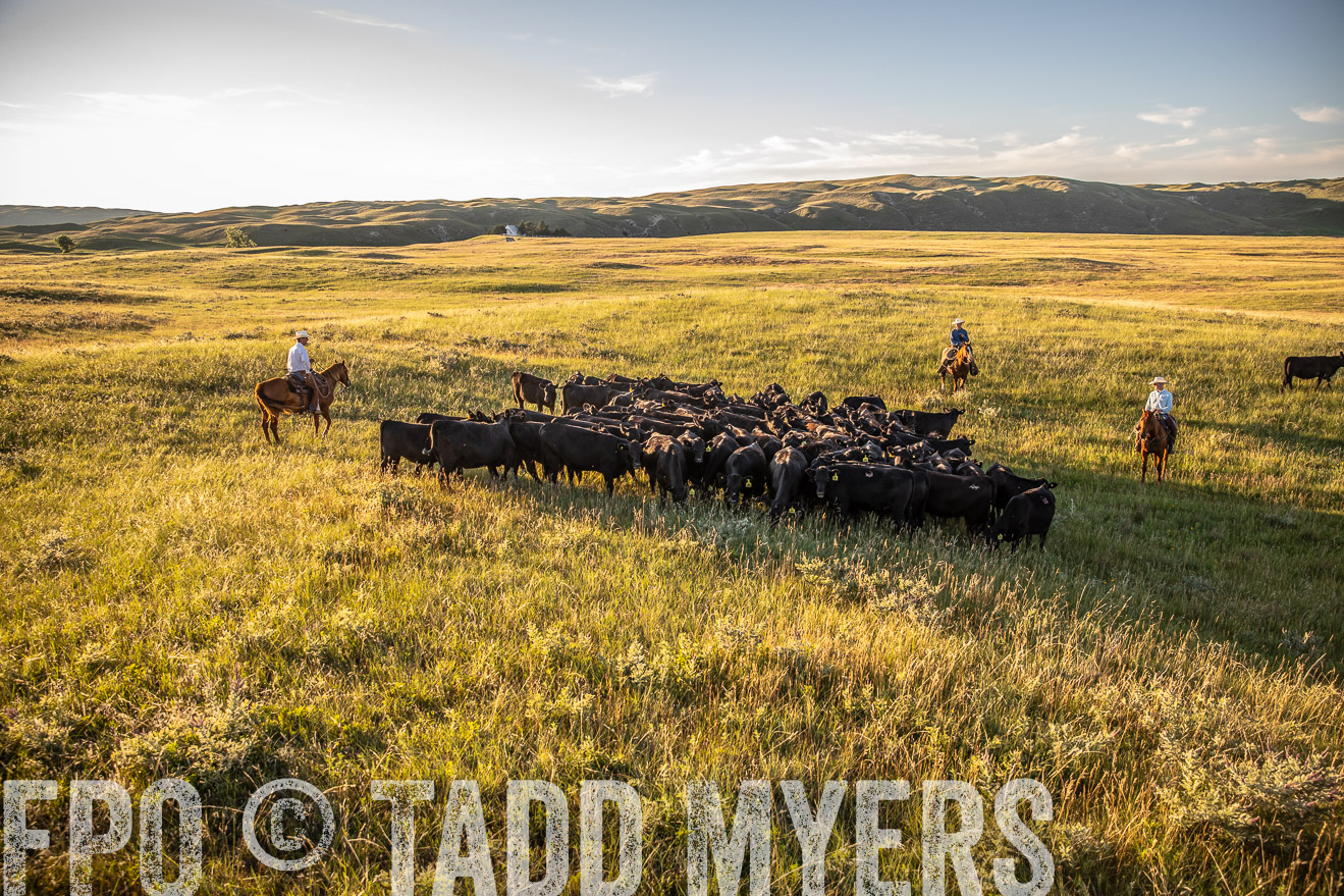 PP_TuckerRanch_NE_July2019-42333