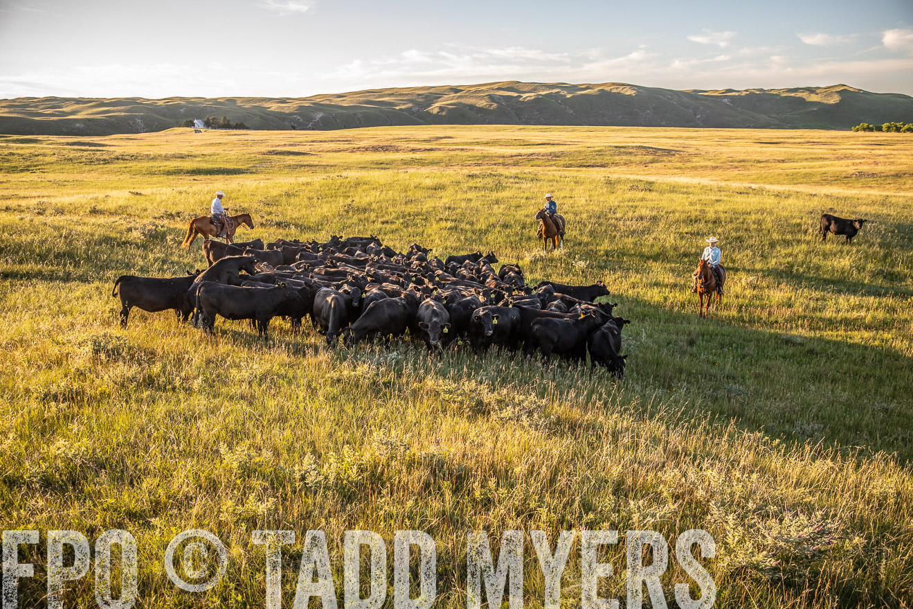 PP_TuckerRanch_NE_July2019-42339