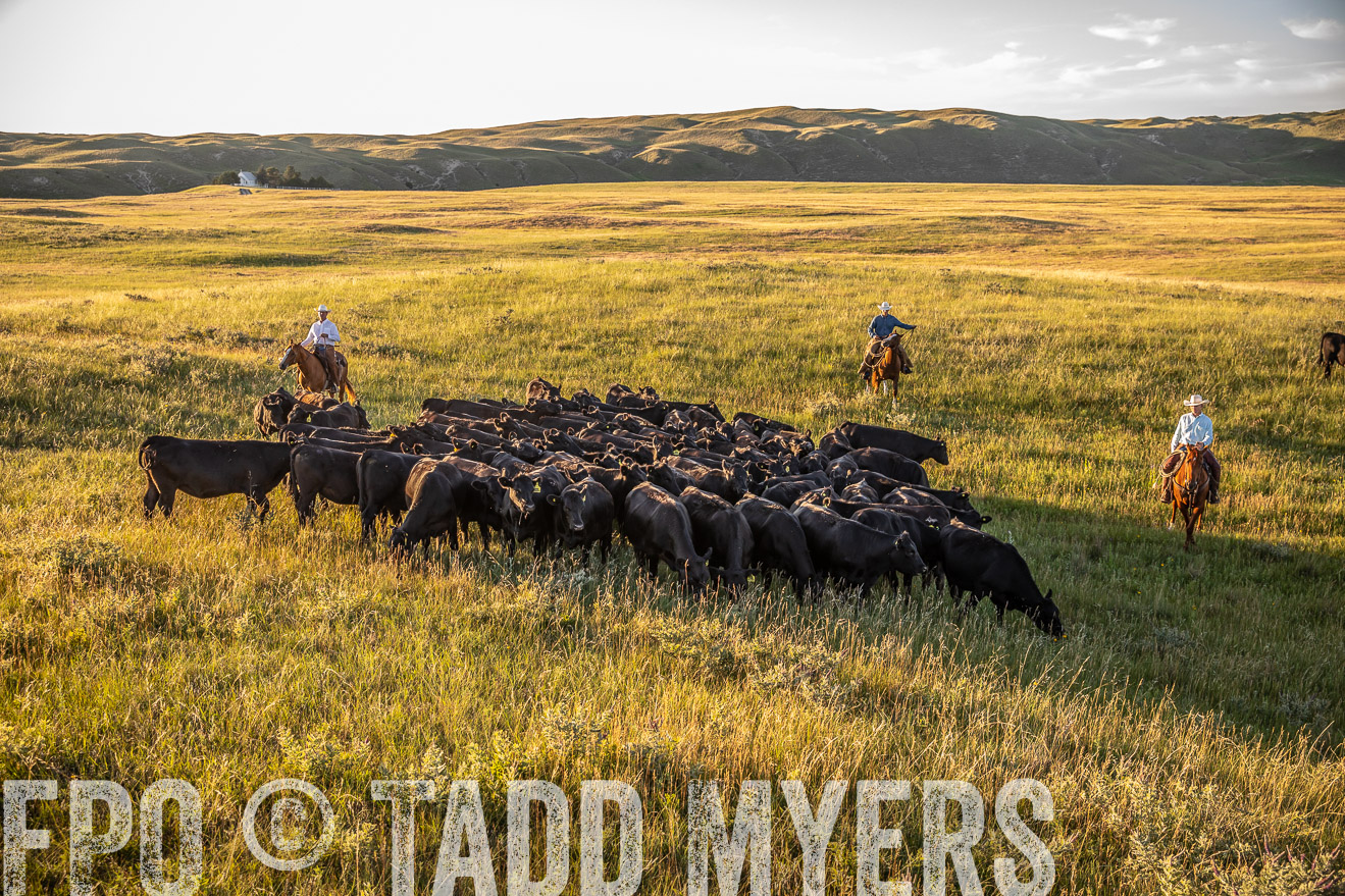 PP_TuckerRanch_NE_July2019-42353