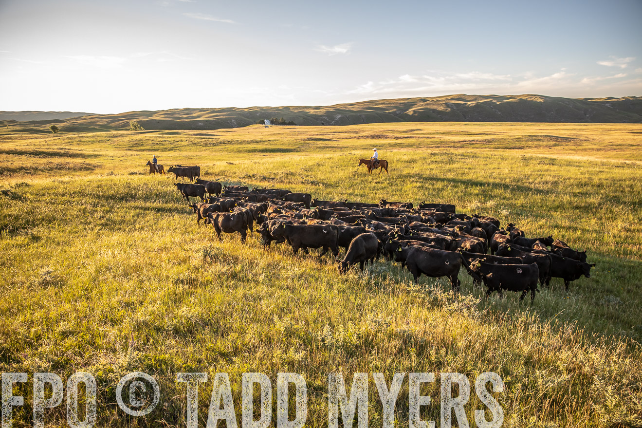 PP_TuckerRanch_NE_July2019-42390
