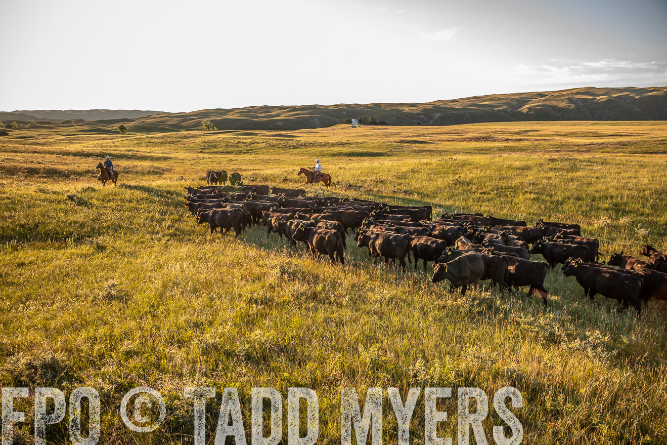 PP_TuckerRanch_NE_July2019-42395