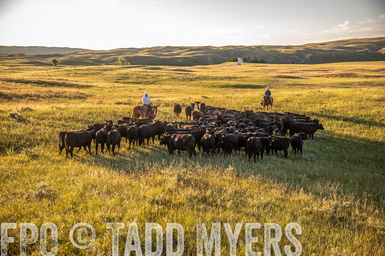 PP_TuckerRanch_NE_July2019-42420