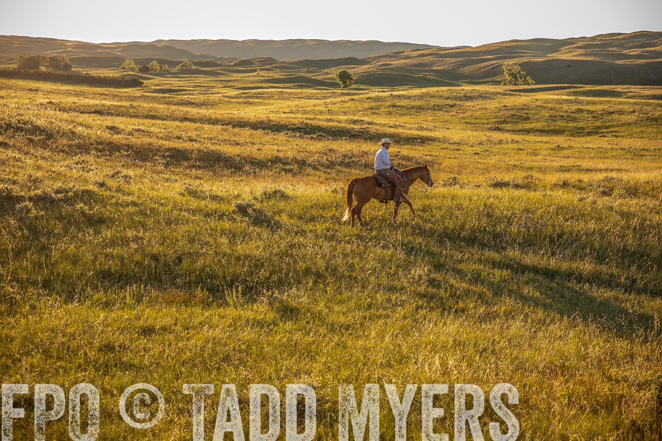 PP_TuckerRanch_NE_July2019-42428