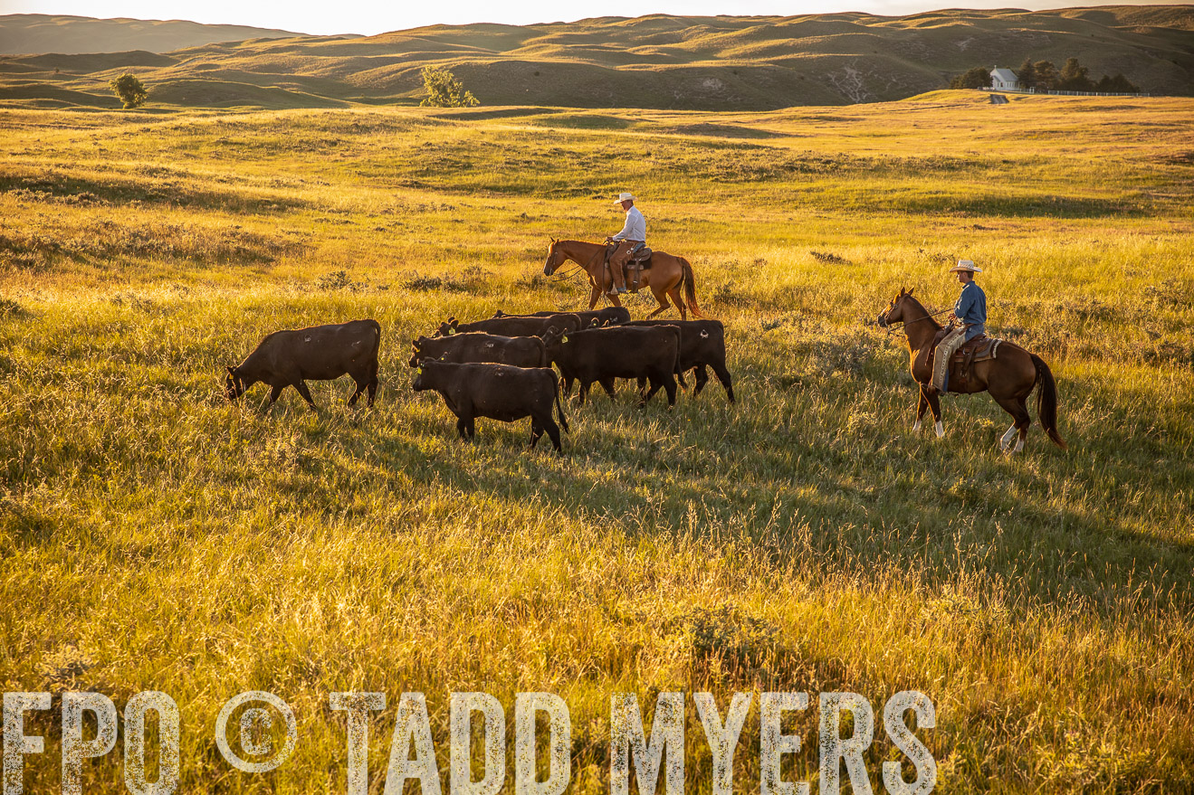 PP_TuckerRanch_NE_July2019-42441