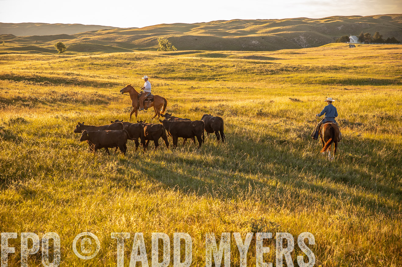 PP_TuckerRanch_NE_July2019-42447