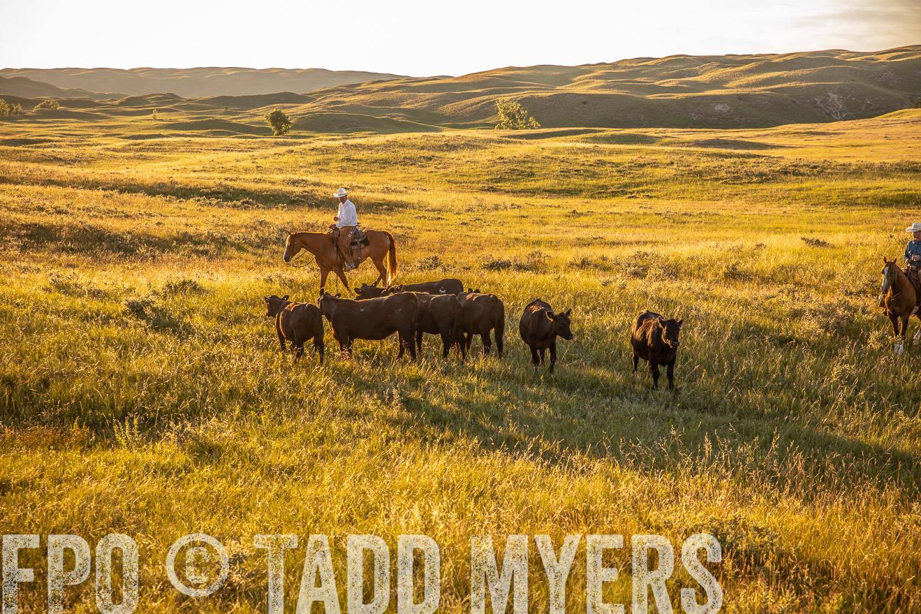 PP_TuckerRanch_NE_July2019-42450