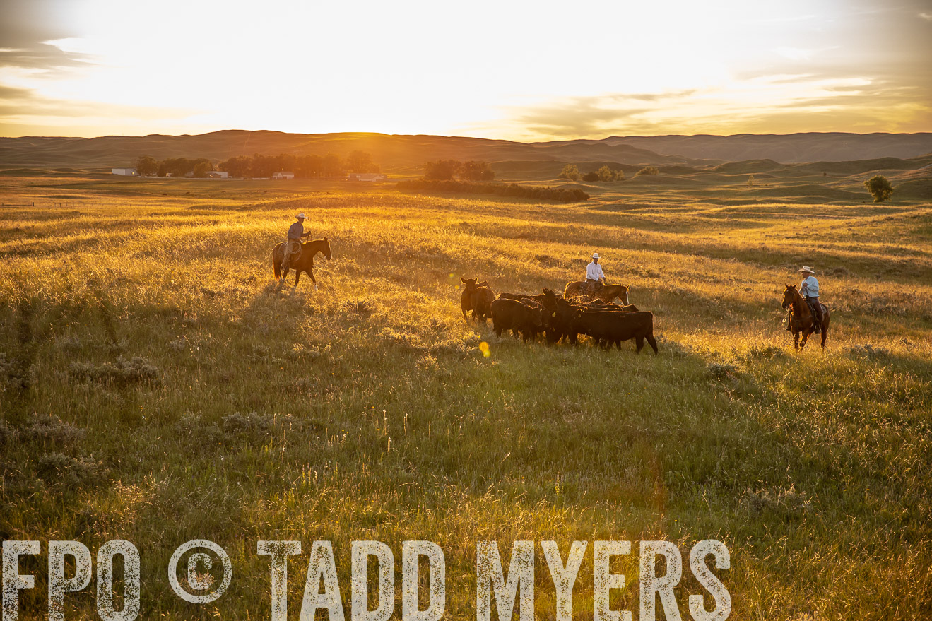 PP_TuckerRanch_NE_July2019-42489