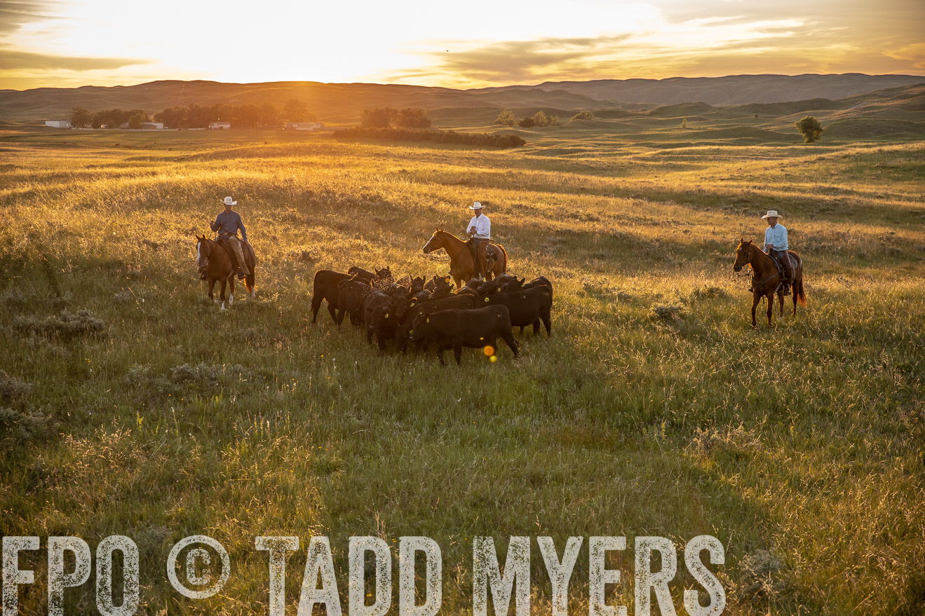 PP_TuckerRanch_NE_July2019-42504