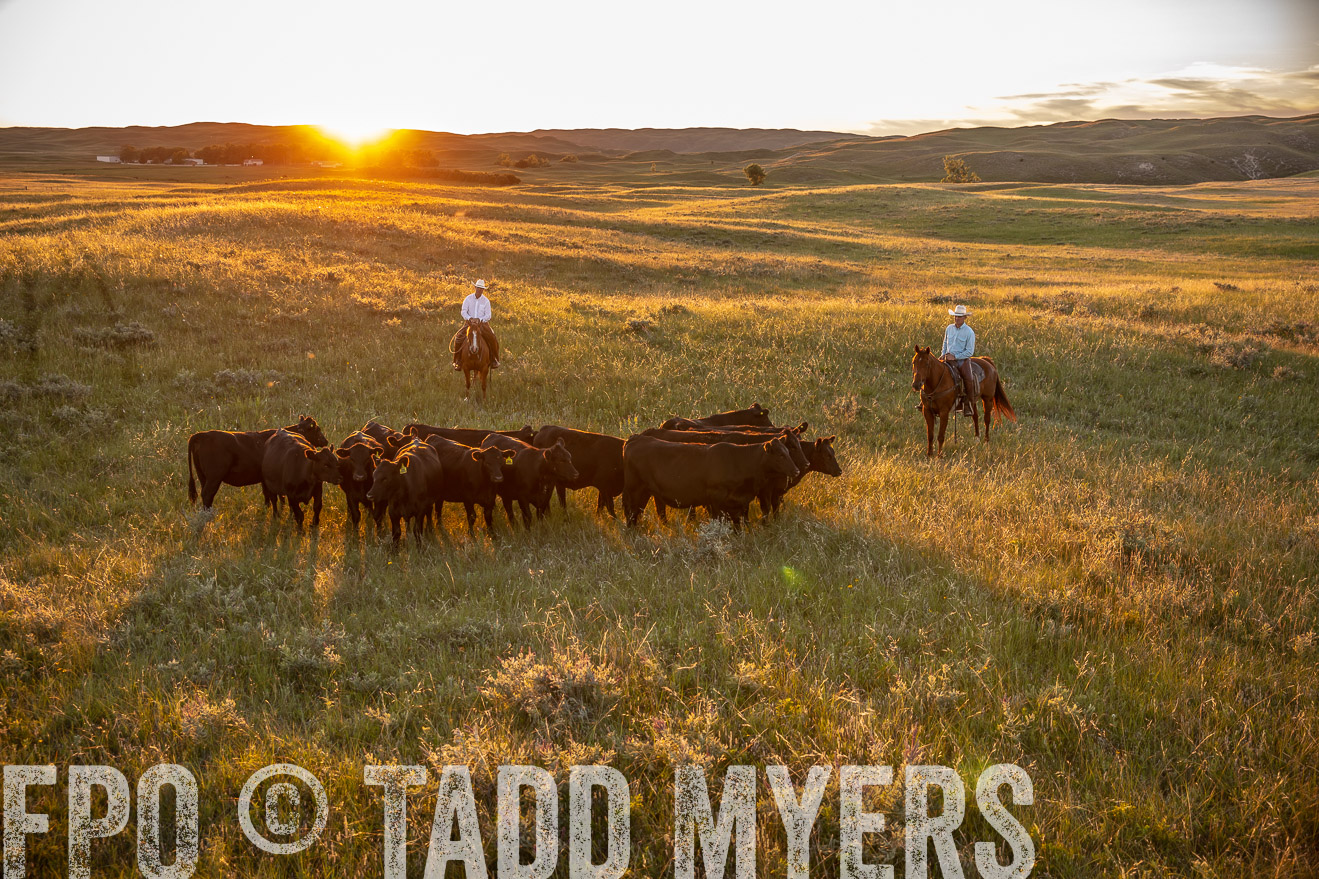 PP_TuckerRanch_NE_July2019-42622