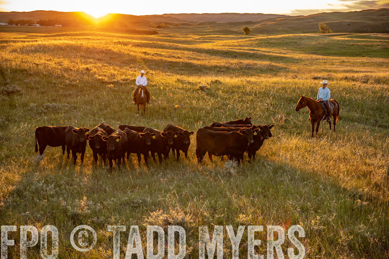 PP_TuckerRanch_NE_July2019-42631