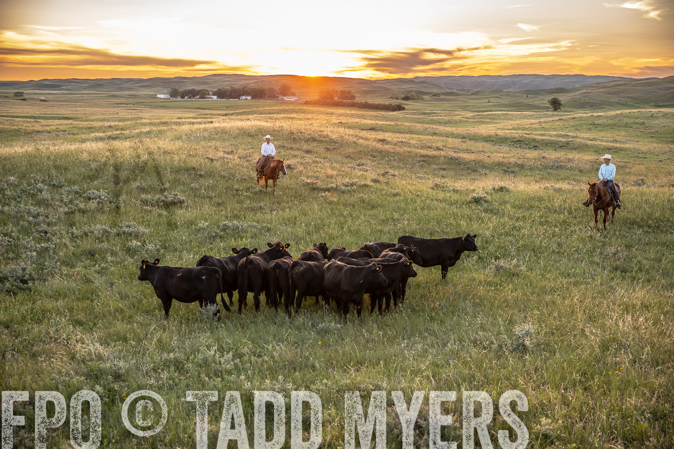 PP_TuckerRanch_NE_July2019-42695