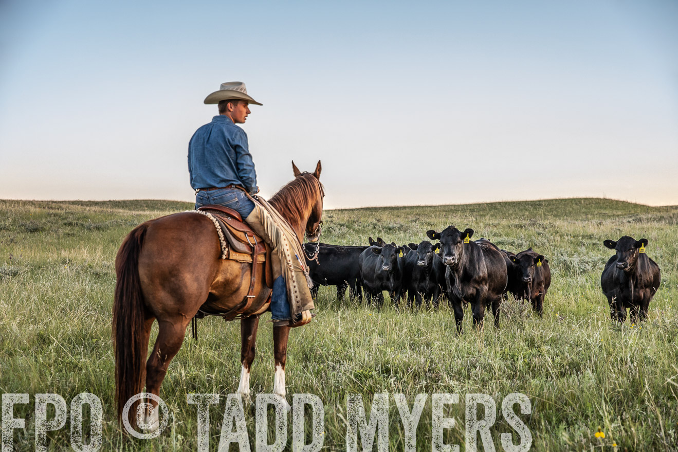 PP_TuckerRanch_NE_July2019-42699-1