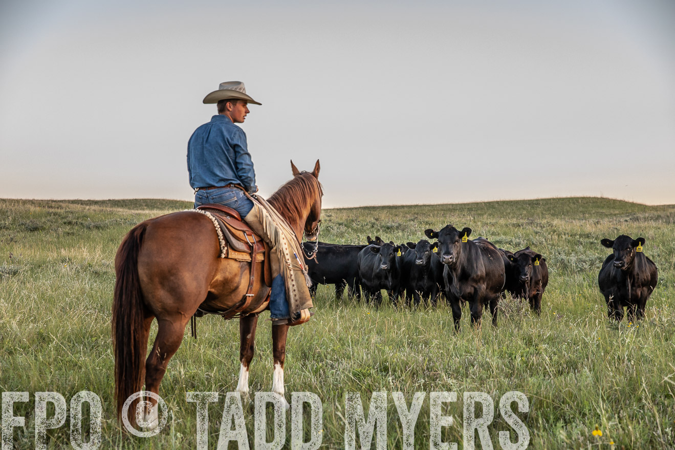 PP_TuckerRanch_NE_July2019-42699