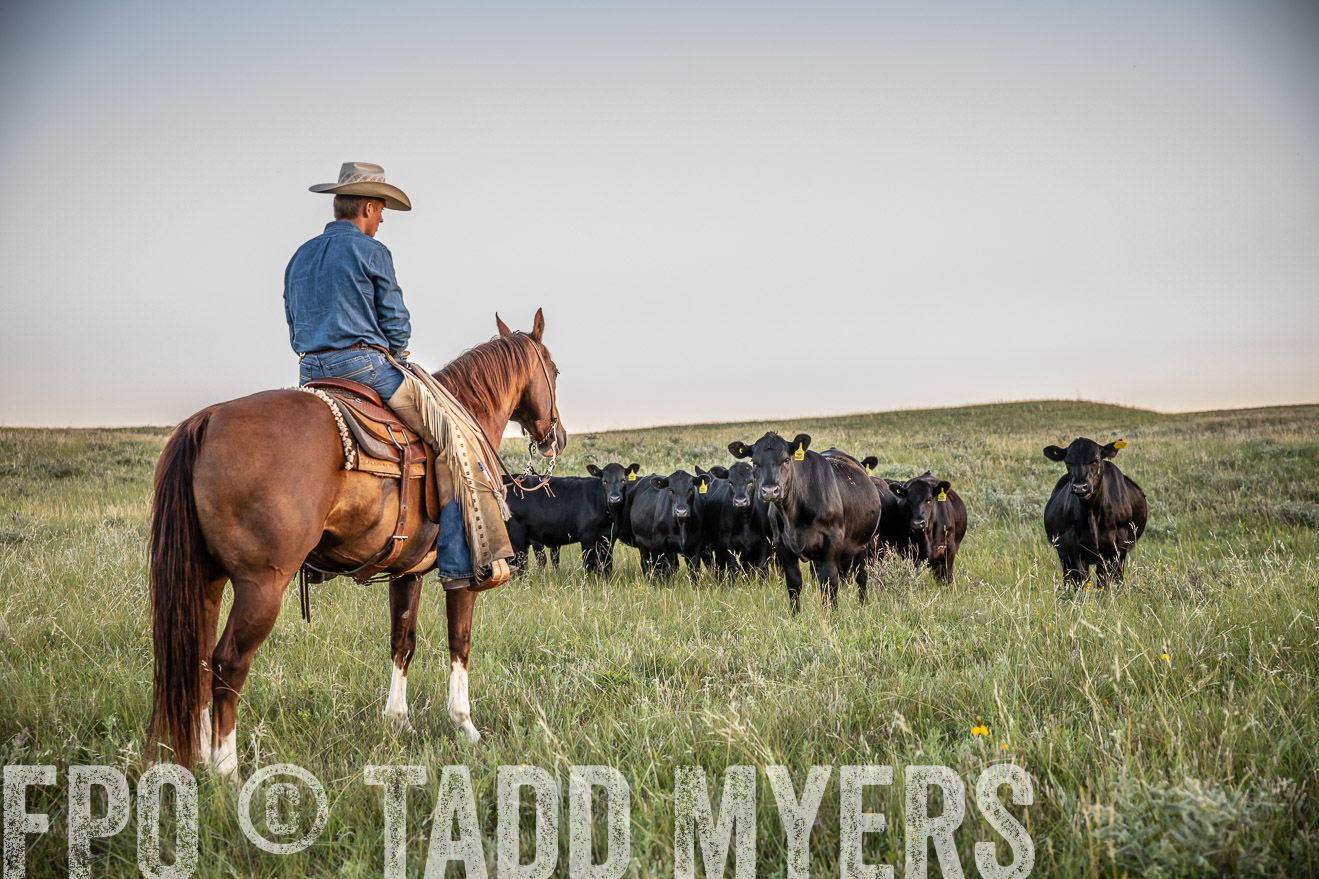 PP_TuckerRanch_NE_July2019-42705