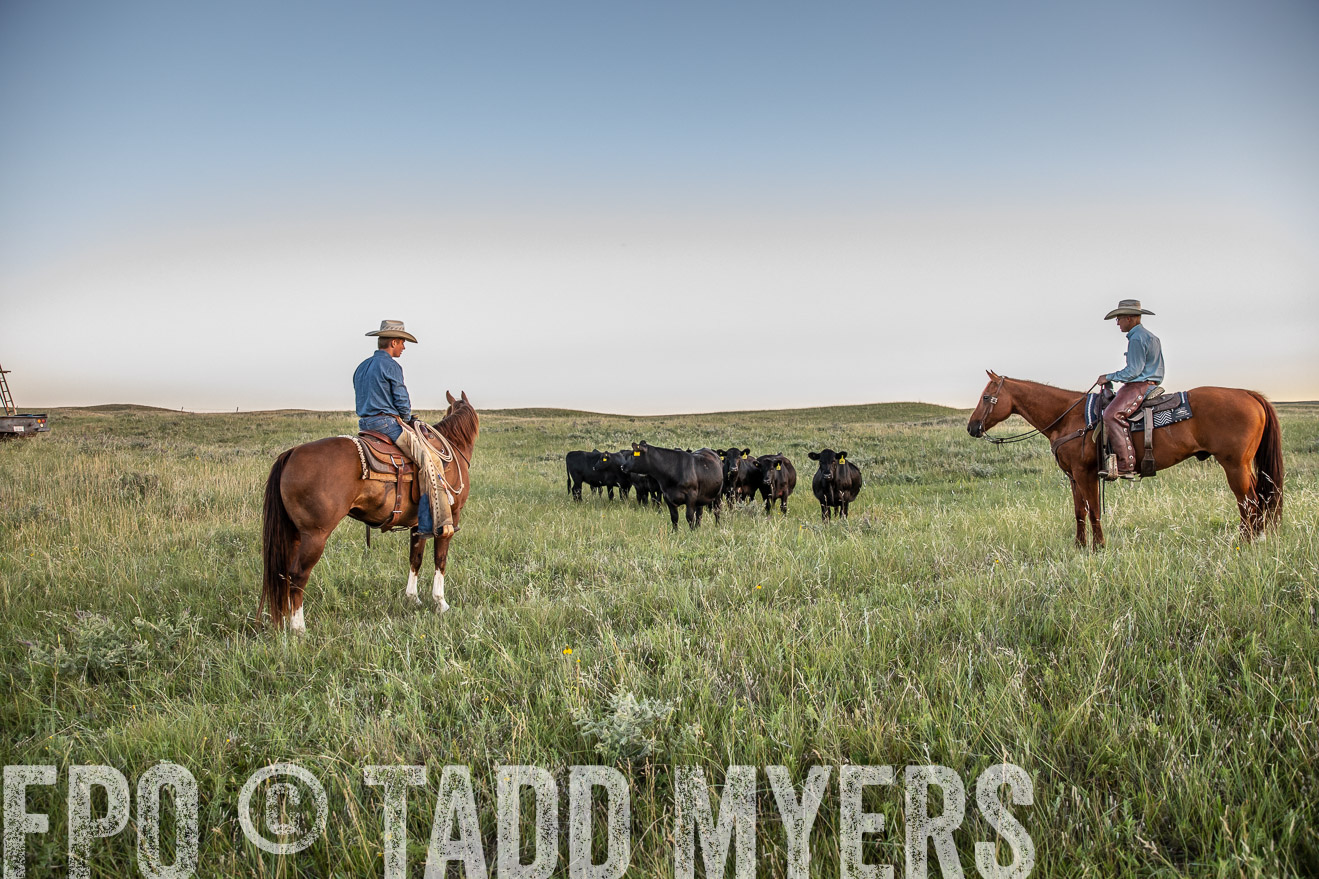 PP_TuckerRanch_NE_July2019-42708