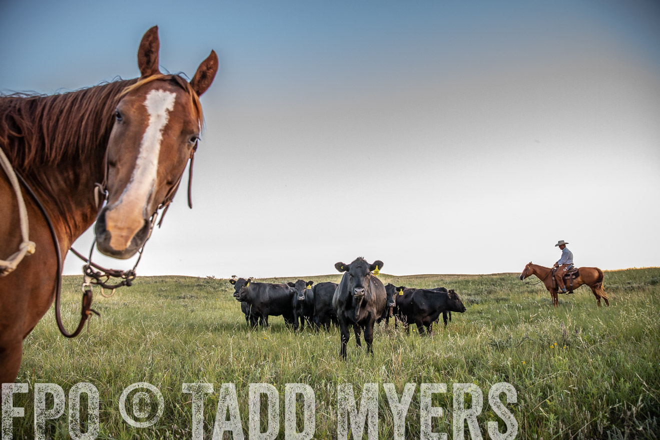 PP_TuckerRanch_NE_July2019-42749