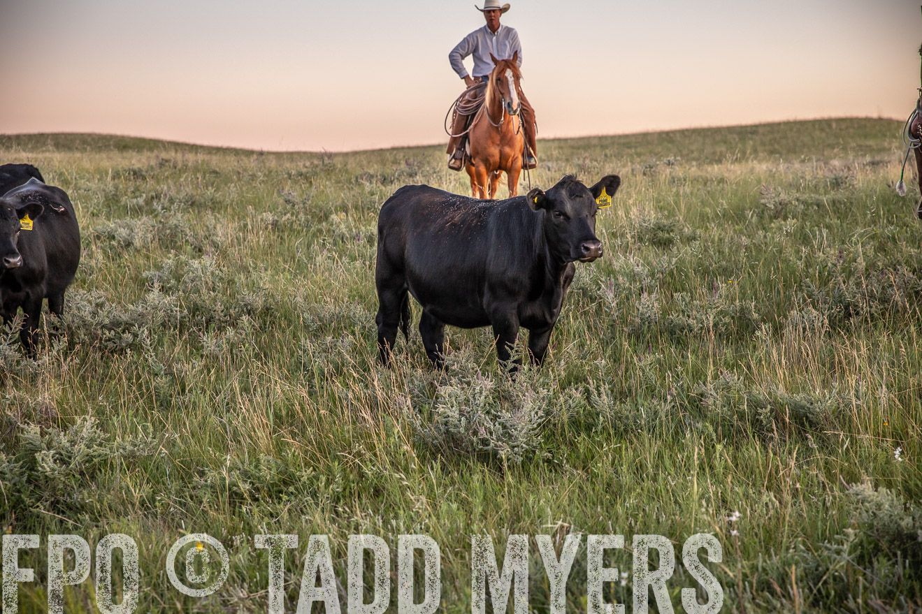 PP_TuckerRanch_NE_July2019-42829