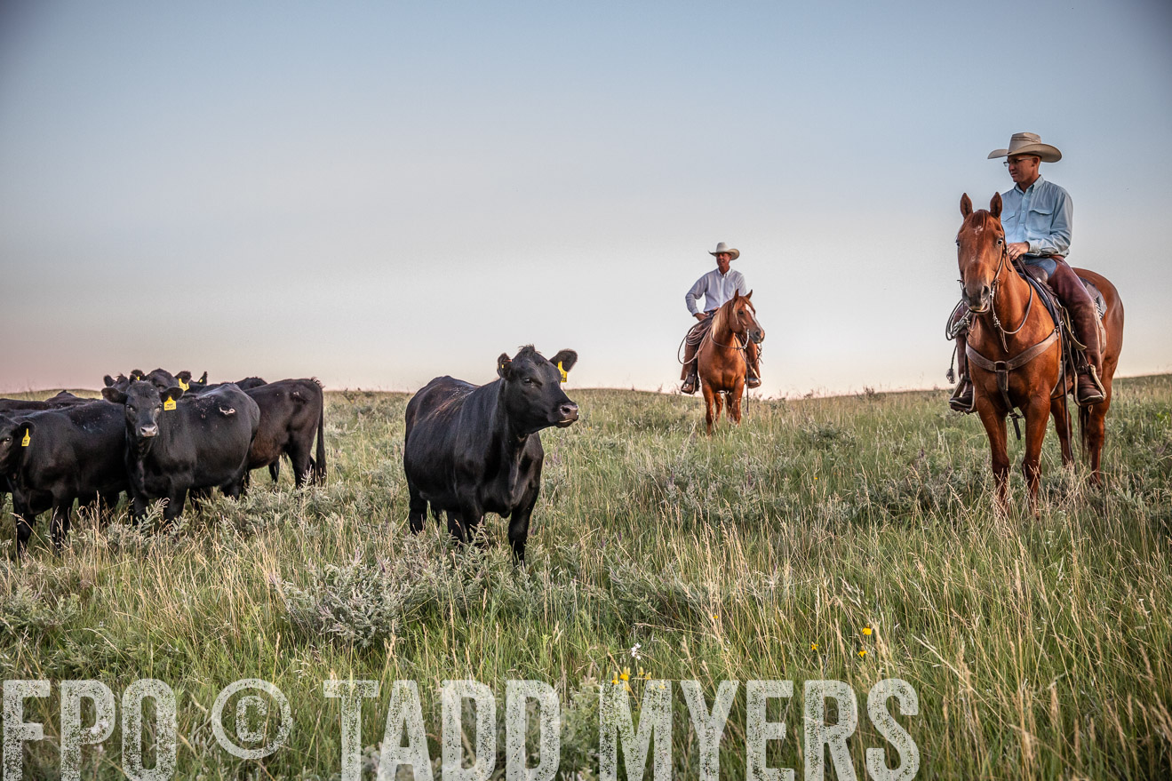 PP_TuckerRanch_NE_July2019-42852