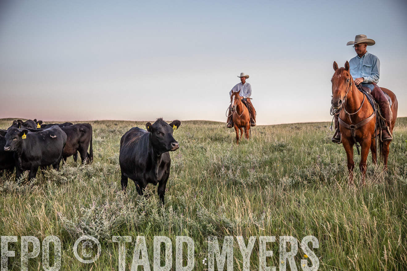 PP_TuckerRanch_NE_July2019-42858